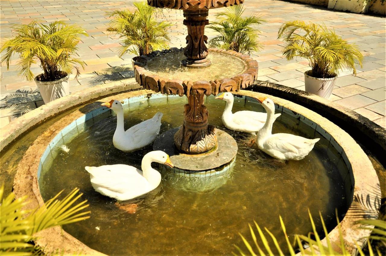 קומבלגרה Alcor Spa Resorts מראה חיצוני תמונה
